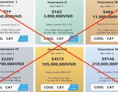 “Sập” ứng dụng đầu tư Coolcat, nhiều người mất tiền tỷ: Phân tích từ luật sư